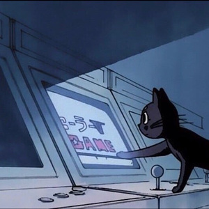 av天堂骚逼高清无码
